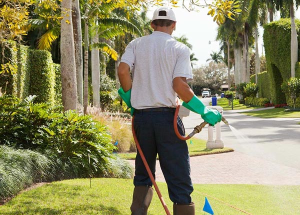 About Darien GA Pest Control Pros